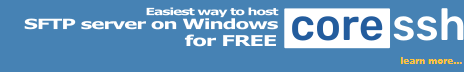 Host an SFTP Server on Windows for free!