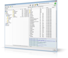 FTP Explorer ist für das leichte Browsen des FTP-Servers gedacht, wenn Sie die Aufgabenautomatisierung festlegen. Sie können die Dateien und Ordner manuell hoch- und runterladen, neue Ordner erstellen, Dateien auf dem FTP-Server umbenennen oder löschen